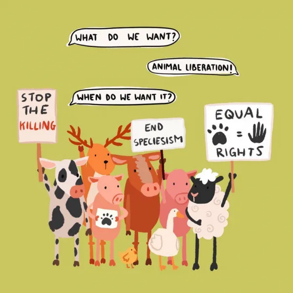 Anti Speciesism ~ non human animals need  legal rights!