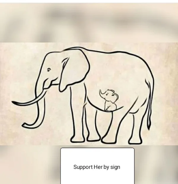 Need Justice For Pregnant Elephant brutally killed in Malapuram