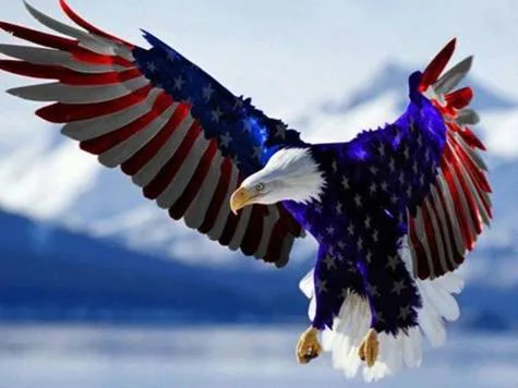 USexit "We The People " LEAVE the UN