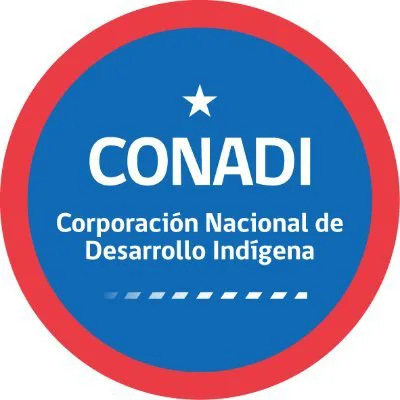 Programa de Emprendimiento e Innovacion "Araucania - Silicon Valley"