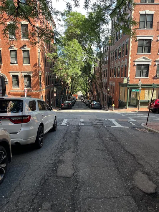 Save the Tree at 202 West Broadway