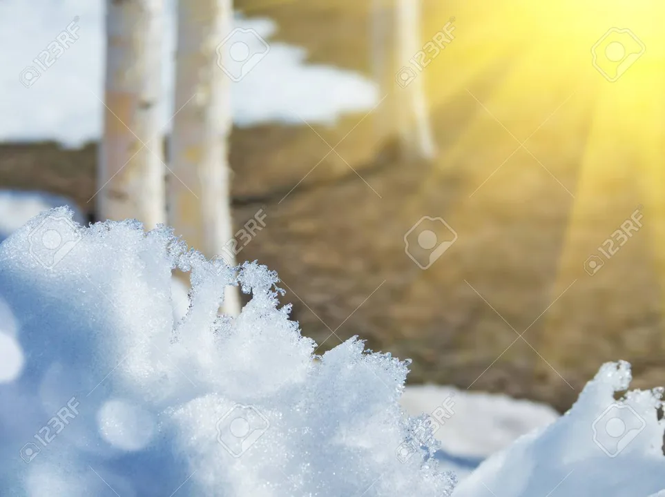 Écoeurés de l'hiver