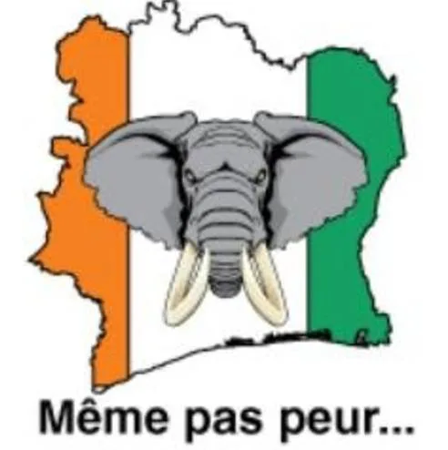 Bassam Meme pas Peur