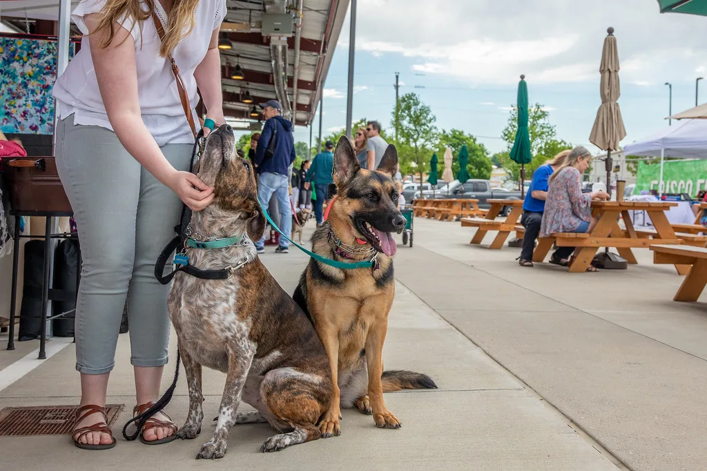 Support 'Man's Best Friend' at the Downtown Cedar Rapids Farmers Market