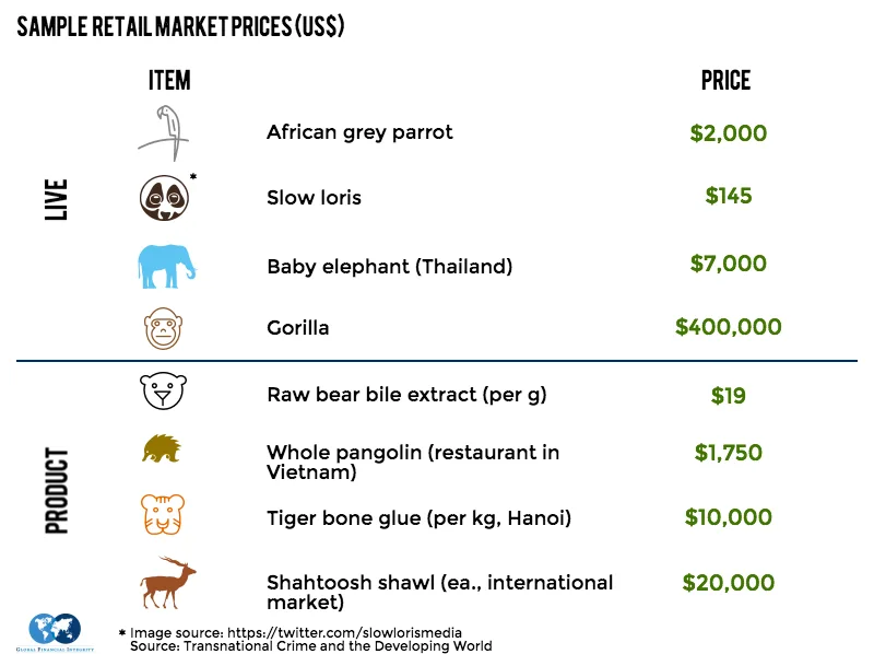 Stop the Extinction of Tigers