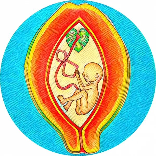 Birth Doula's as Essential Support People in Hospital's (Doula's Are Not Visitors)