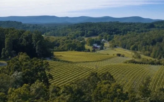 Shenandoah County Petition for Request of Referendum on School Name Change