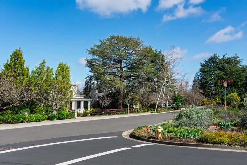 Petition in Opposition to Proposed Development at East Blithedale & Camino Alto