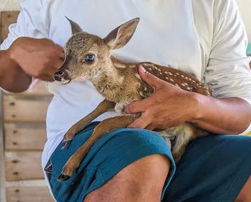 SAVE BABY