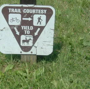 I am in favour of a Multi-user group RAIL TRAIL including HORSES