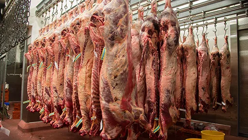 Petition against the Halal industrial park proposed for south Wales 
