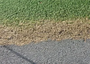 Fairview Herbicide Spraying