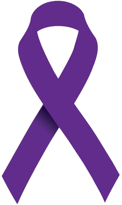 Vienna Declaration On Femicide