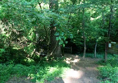 Pangborn Estate Convert to Greenspace