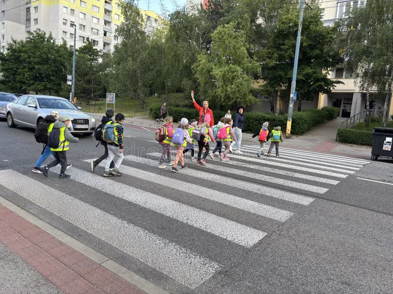 Zebrapaden aan school