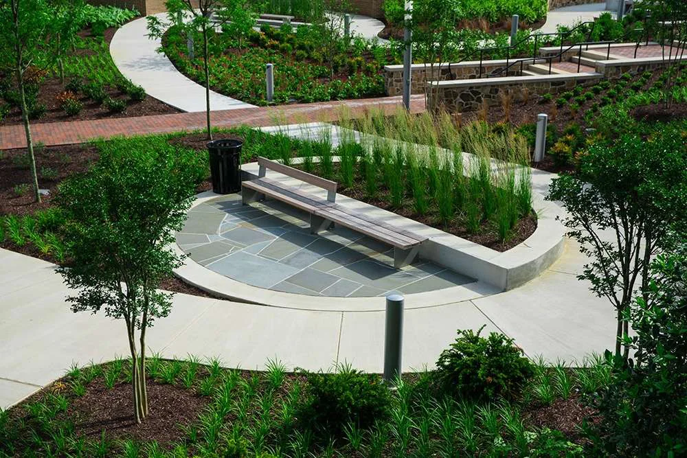 Proper Maintenance Of Common and Retention Areas