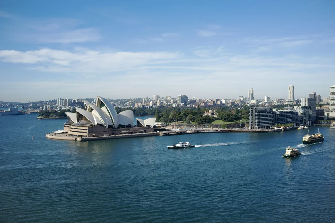 Get Fred Basset to race in Sydney!!