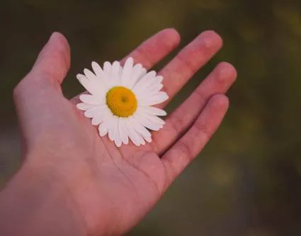 MAKE ASSISTED SUICIDE LEGAL WITHIN THE UK