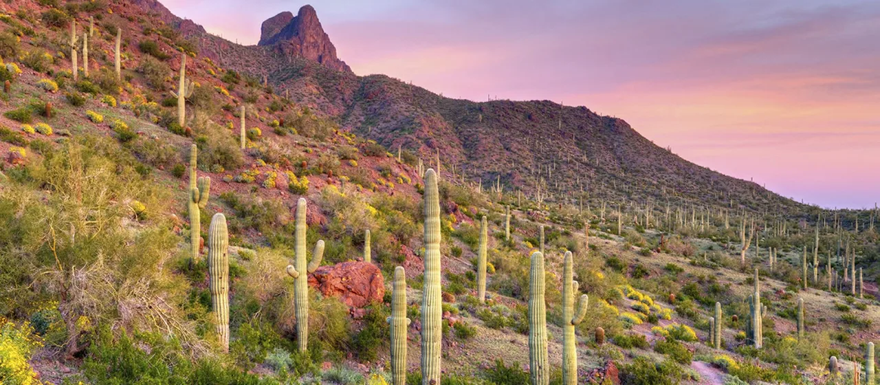 PETITION TO OPPOSE THE LA OSA ENERGY CENTER Pinal County, Arizona