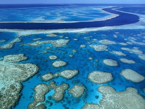 Save The Great Barrier Reef