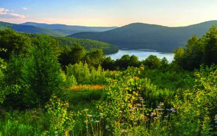 Stop Off Reservation Casinos In The Catskills