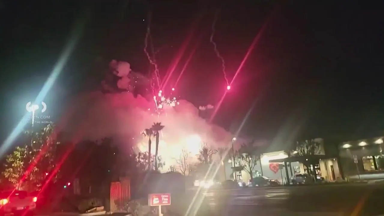 PETITION FOR THE REGULATION OF NOISY FIREWORKS: Protecting Pets, Wildlife, and Military Veterans