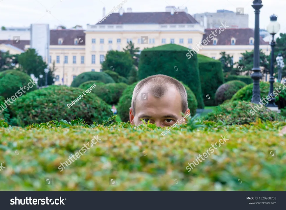 LET AIDAN BE A BUSH