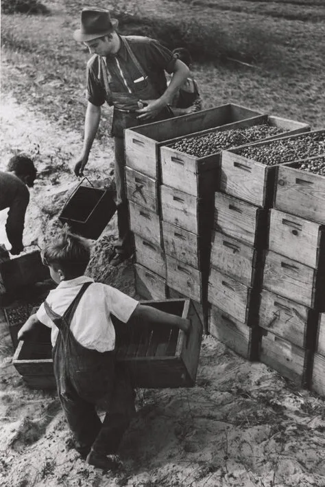 Child Laborers: Are you going to take a stand
