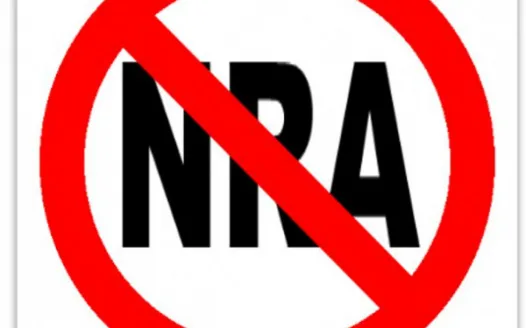 End the NRA’s control of our government - TAKE THE PLEDGE