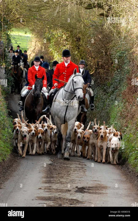 Ban Hunting