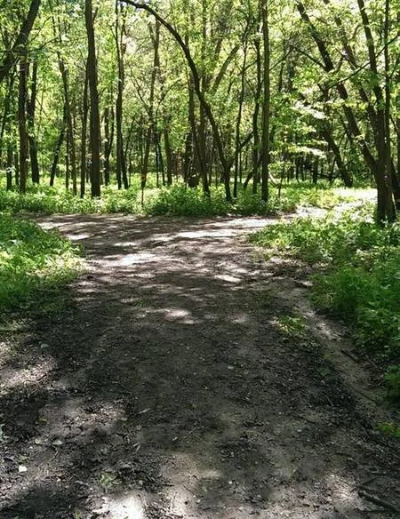 Fort Ridgely State Park Golf Course