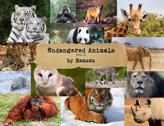 Save Endangered Species