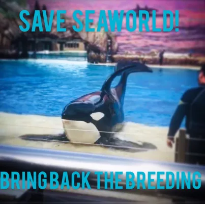 Save SeaWorld's Orca Breeding Program!
