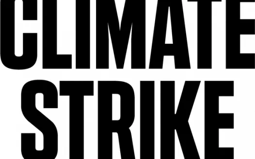 Allow Guyer HS Students to Participate in The Global Climate Strike