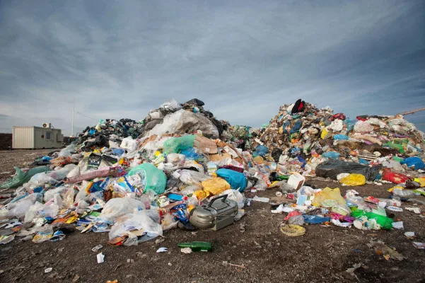 Saying No to Plastic Bags