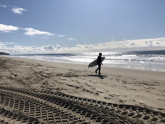 Safely open Malibu beaches for surf, swim and other recreational activities ONLY