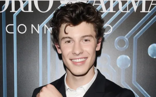 Shawn Mendes back on The 100