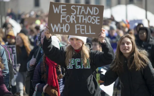 Patriots Against Gun Violence in the U.S.