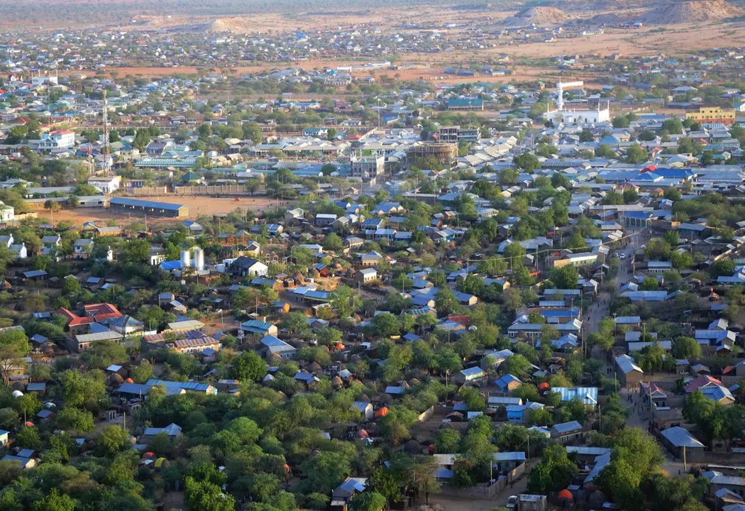 PETITION AGAINST THE GOVERNOR OF MANDERA