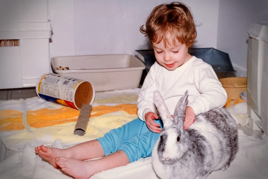 Bunny Petition for 6th Grade (Mrs. Donovan's Class)