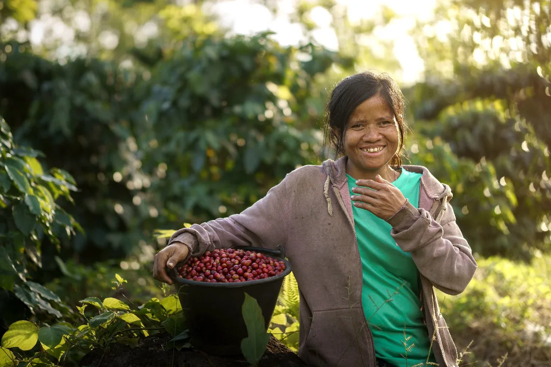 Labor Exploitation in the Coffee Industry