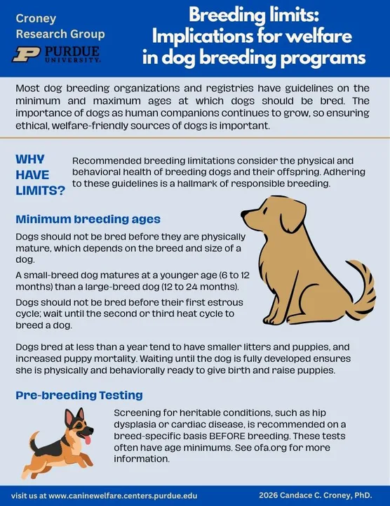 Change the Laws to Protect Animals