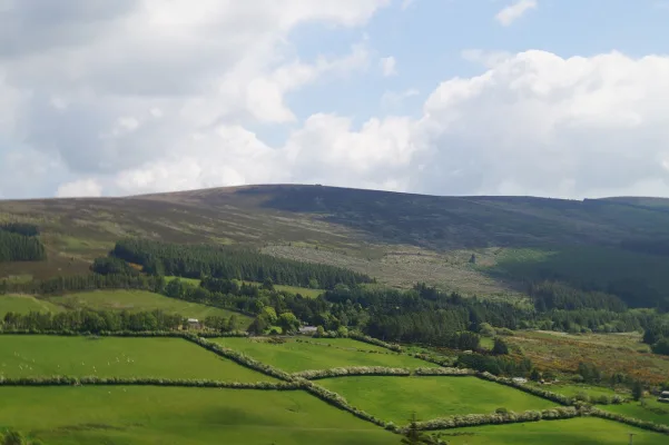 Improve Educational Opportunities in Rural Ireland
