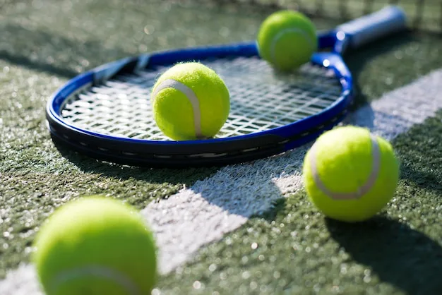 neen! aan een schorsing voor Wickmayer en Malisse
