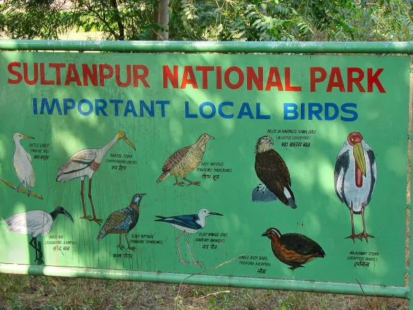 KEEP SULTANPUR NATIONAL PARK, GURGAON, HARYANA OPEN THROUGH OUT THE YEAR