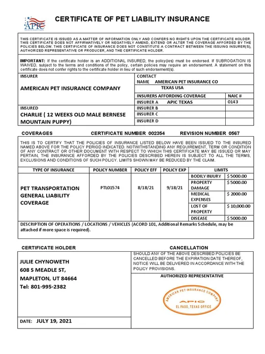 No to dog owner's liability insurance