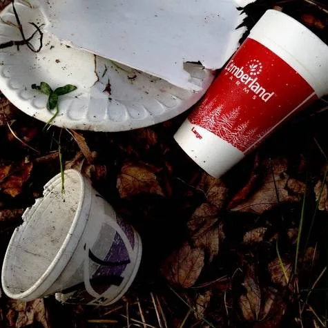 Ban Styrofoam (polystyrene) in Albany County
