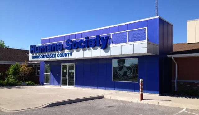 Shut Down Windsor Essex County Humane Society