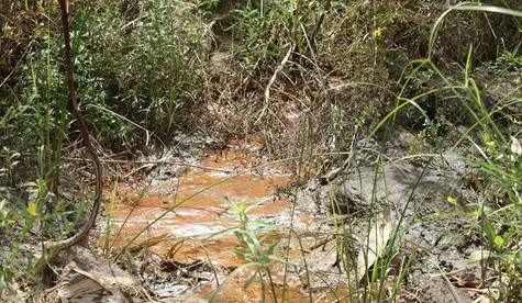 JIFFY CORPORATION WHICH DESTRUCT THE DEDURU OYA  IN Sri LANKA and THREATEN THE ENVIRONMENTALISTS