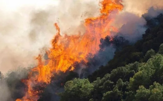 Ισόβια κάθειρξη για εμπρηστες δασικών εκτασεων